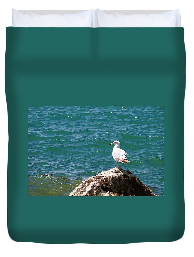 Michigan Duvet Cover featuring the photograph Seagull on Rock by Lars Lentz