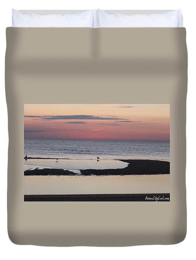 Animals Duvet Cover featuring the photograph Seagulls on the Seashore by Robert Banach