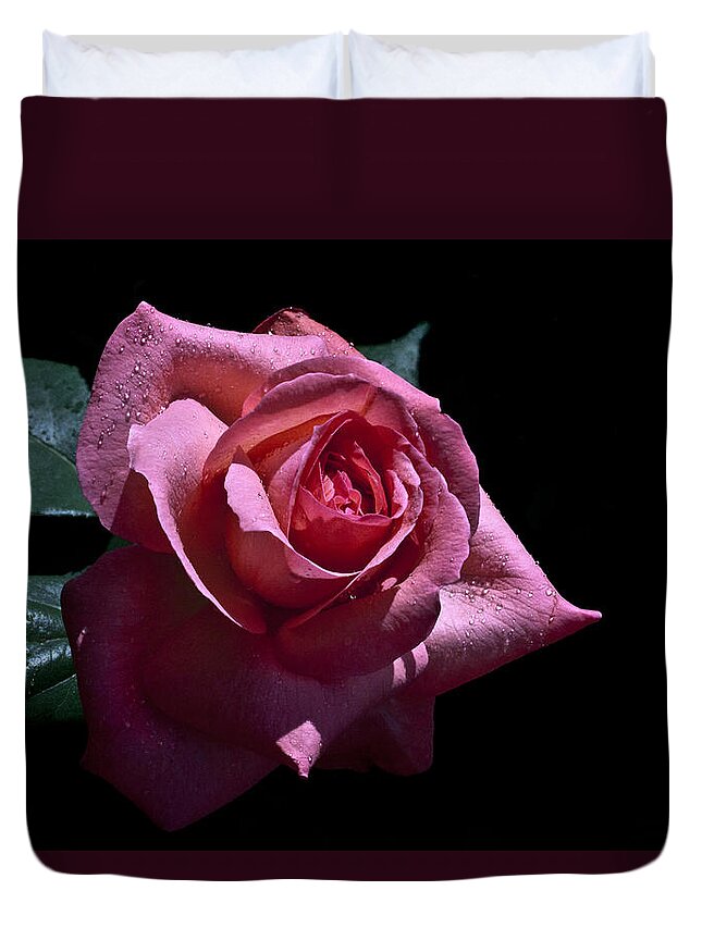 Rose Duvet Cover featuring the photograph Searching by Doug Norkum