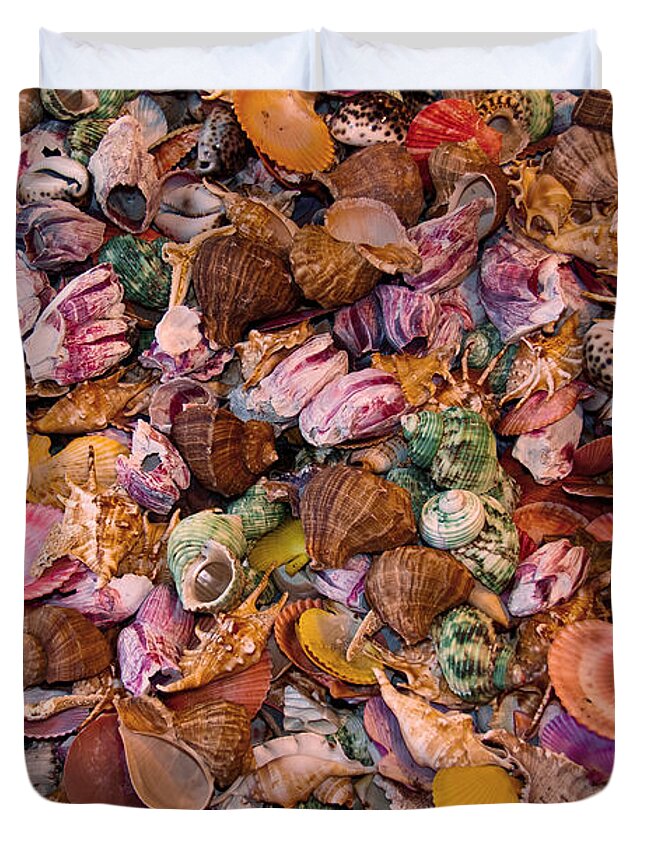 Seashells Duvet Cover featuring the photograph Seashells by Anthony Sacco