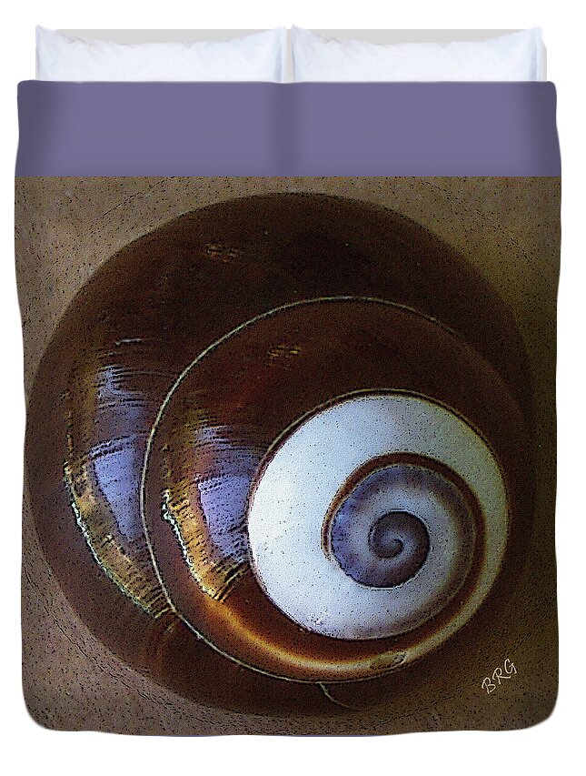 Seashell Duvet Cover featuring the photograph Seashells Spectacular No 26 by Ben and Raisa Gertsberg