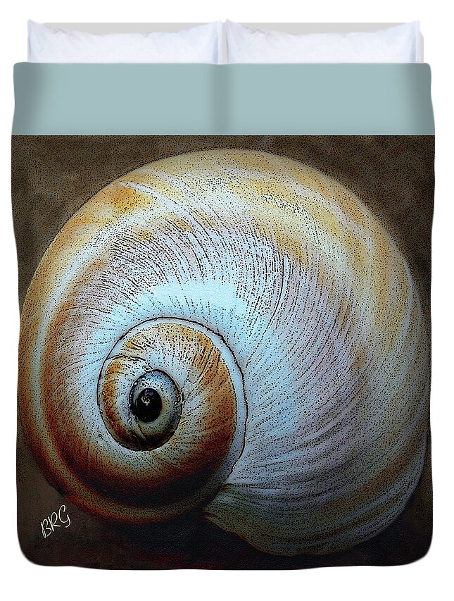 Seashell Duvet Cover featuring the photograph Seashells Spectacular No 36 by Ben and Raisa Gertsberg