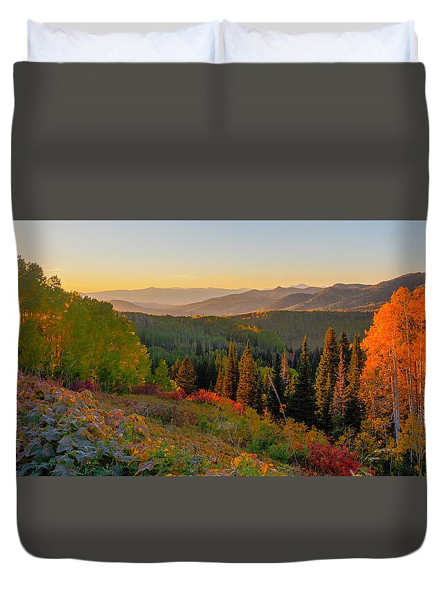 Colorado Duvet Cover featuring the photograph Season of Gold by Kevin Dietrich