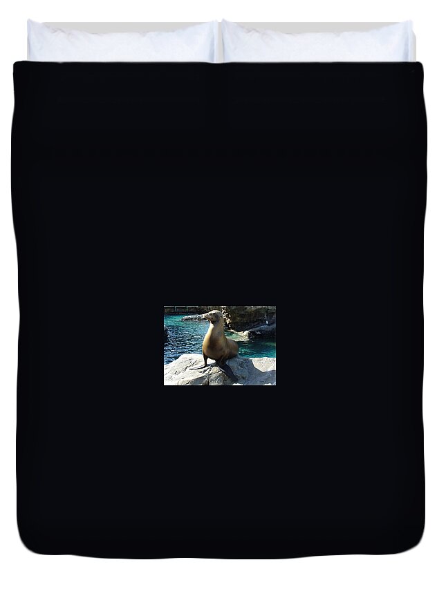 Sealion Duvet Cover featuring the photograph SeaWorld Sealion by David Nicholls
