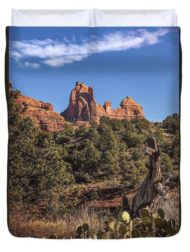 Sedona Duvet Cover featuring the photograph Sedona Cactus and Sandstone by Mary Jo Allen