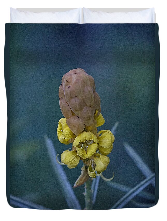 Yellow Duvet Cover featuring the photograph Seeds by Douglas Barnard