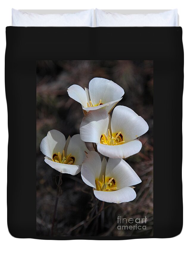 Sego Lily Duvet Cover featuring the photograph Sego Lily by Vivian Christopher