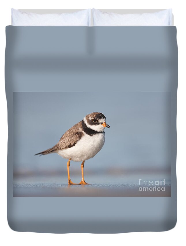 Clarence Holmes Duvet Cover featuring the photograph Semipalmated Plover by Clarence Holmes