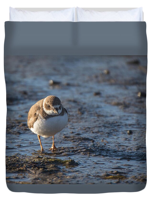 Bird Duvet Cover featuring the photograph Semipalmated Plover by Dusty Wynne