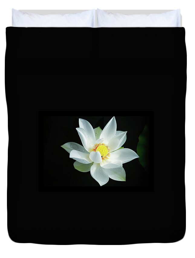 Ho Chi Minh City Duvet Cover featuring the photograph Sen Trang - White Lotus by Jethuynh