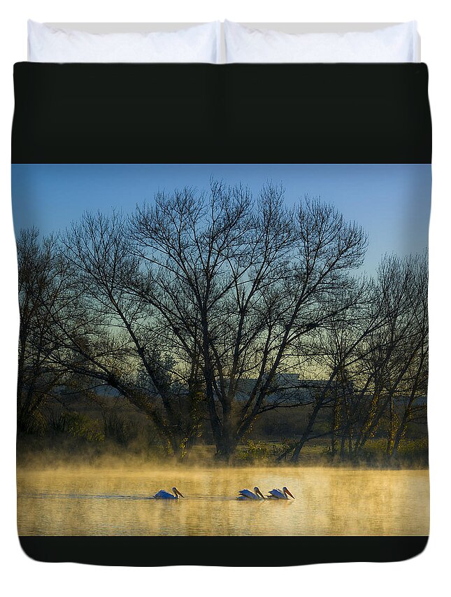 California Duvet Cover featuring the photograph Sepulveda Dam at dawn on New Year's Day 2015 by Joe Doherty