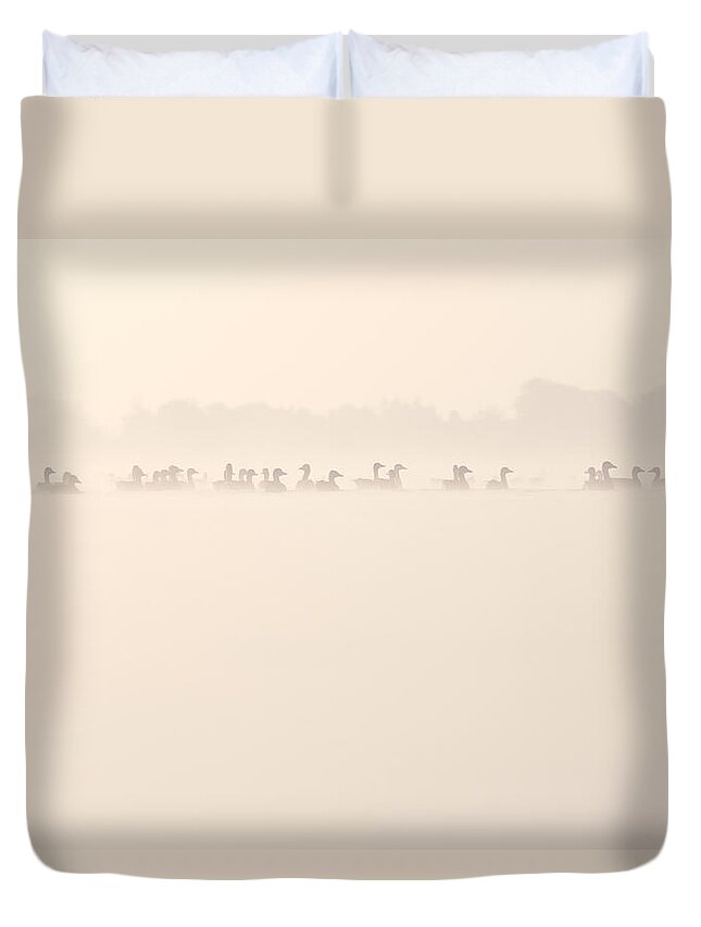 Anser Duvet Cover featuring the photograph Serenity by Roeselien Raimond