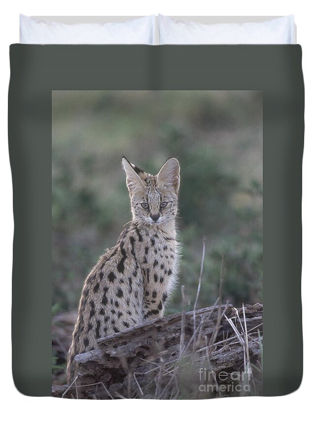 Serval Duvet Cover featuring the photograph Serval by Art Wolfe