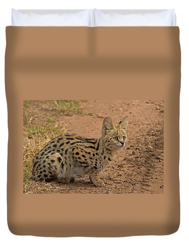 Serval Duvet Cover featuring the photograph Serval Wild Cat by Tony Murtagh