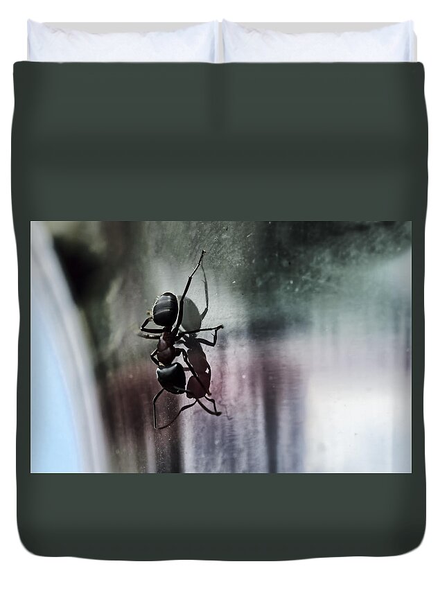 Ant Duvet Cover featuring the photograph Shadow Dancing by Sue Capuano
