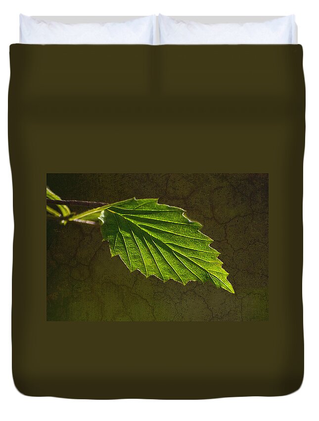 Leaf Duvet Cover featuring the photograph Shadows and Light Of The Leaf by Sandi OReilly