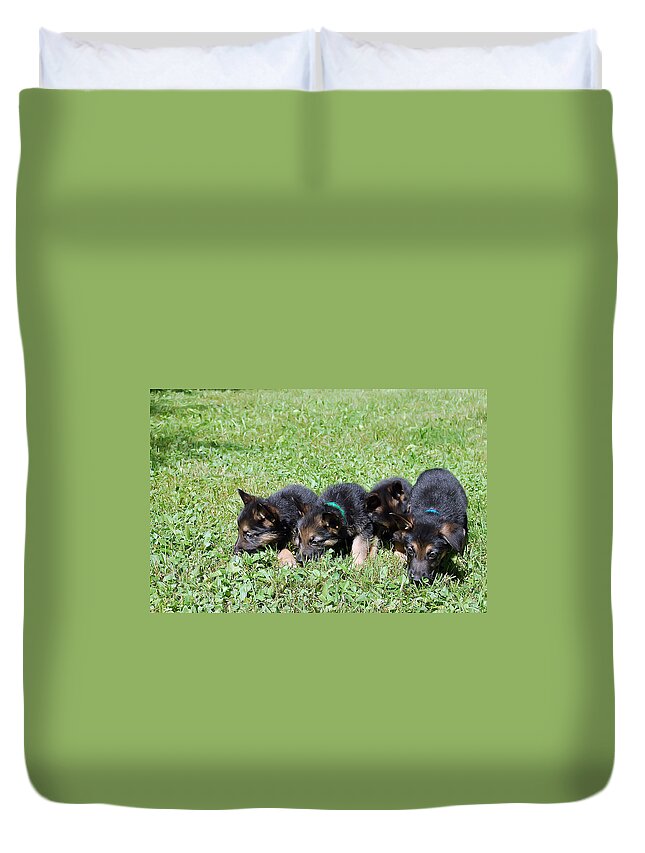 Animal.dog Duvet Cover featuring the photograph Shepherd Pups 10 by Aimee L Maher ALM GALLERY