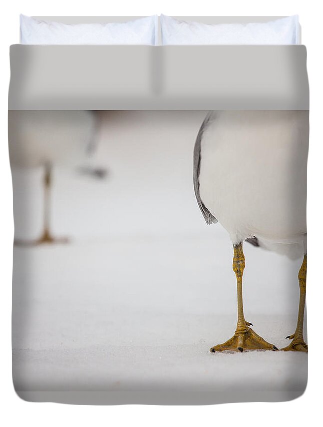 Shes Got Legs Duvet Cover featuring the photograph Shes Got Legs by Karol Livote