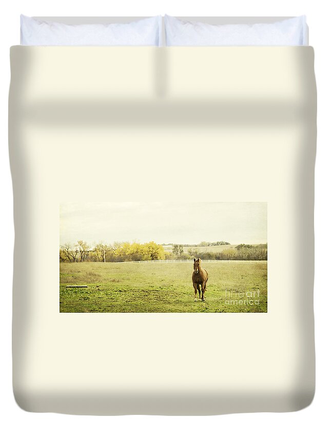 Horse Duvet Cover featuring the photograph Shiloah on the Run by Pam Holdsworth