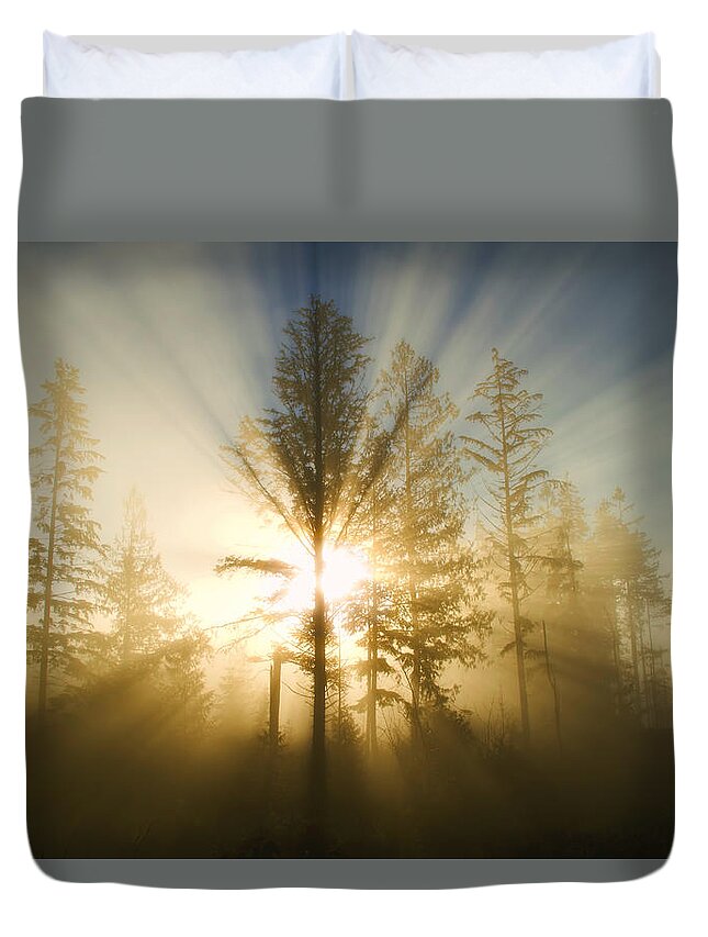 Sunshine Duvet Cover featuring the photograph Shining Through by Peggy Collins