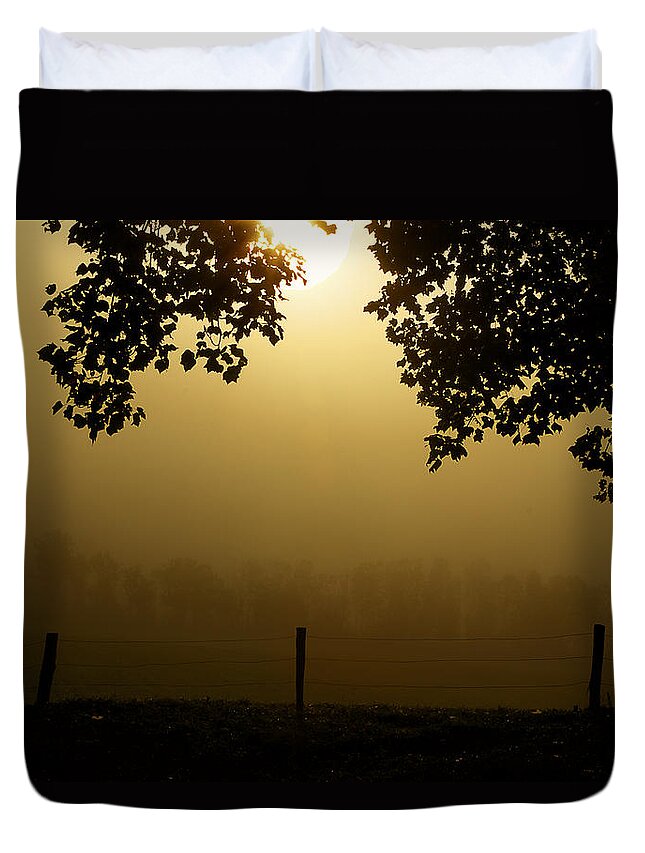 Cades Cove Duvet Cover featuring the photograph Shining Through The Fog by Michael Eingle
