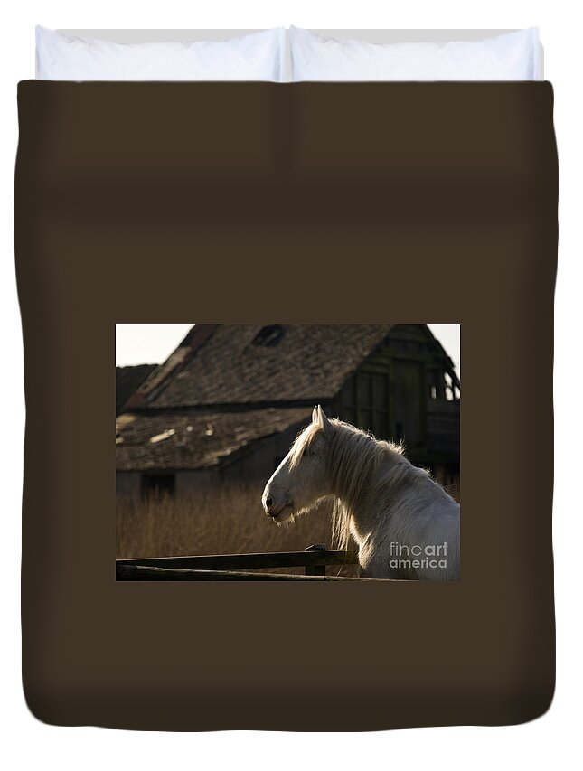 Horse Duvet Cover featuring the photograph Shire Horse by Ang El