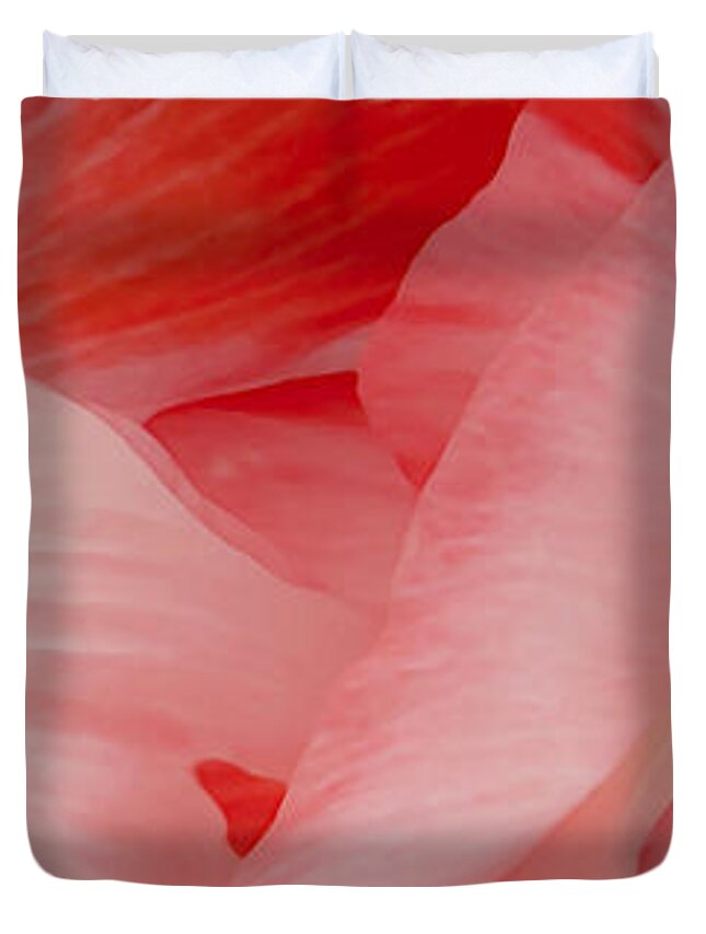 Poppies Duvet Cover featuring the photograph Shirley Poppies by Theresa Tahara