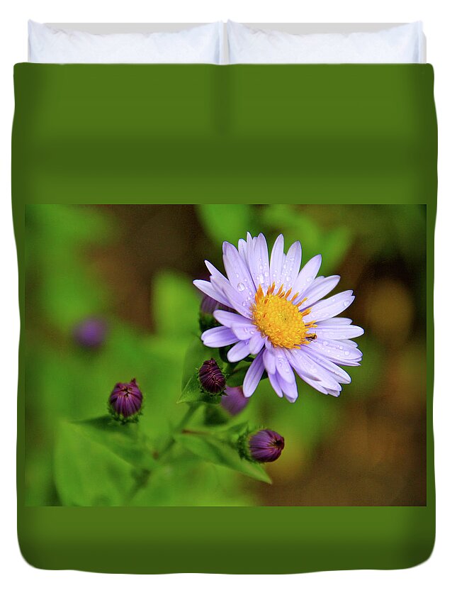 Wildflowers Duvet Cover featuring the photograph Showy Aster by Ed Riche