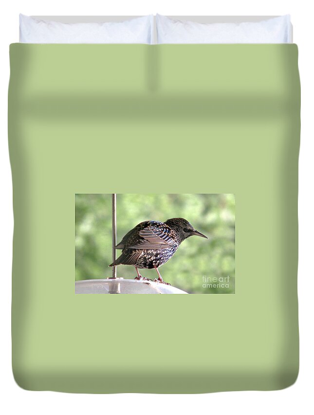 Bird Duvet Cover featuring the photograph Sideways Glance by Rory Siegel