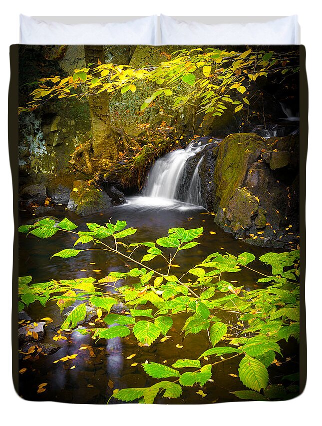 Leaves Duvet Cover featuring the photograph Silent Brook by Mark Rogers