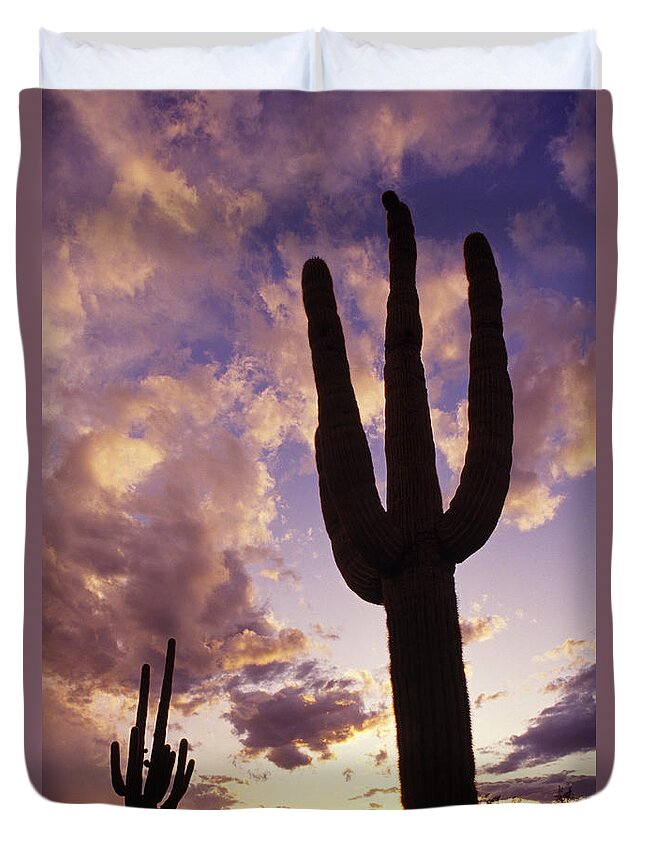 American Southwest Duvet Cover featuring the photograph Silhouetted saguaro cactus sunset at dusk Arizona State USA by Jim Corwin