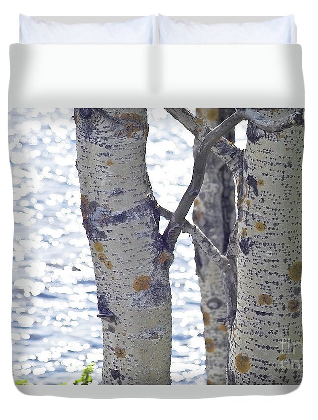 Tree Duvet Cover featuring the photograph Silver birch trees at a sunny lake by Heiko Koehrer-Wagner