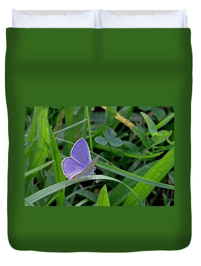 Silver Studded Blue Butterfly Duvet Cover featuring the photograph Silver studded blue butterfly by Tony Murtagh