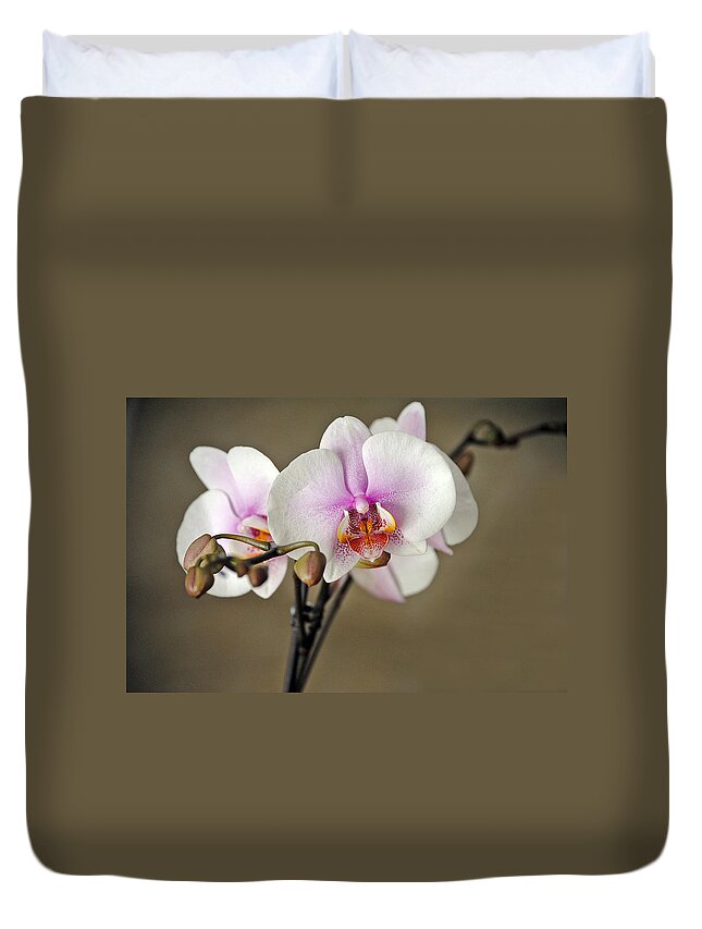 Flower Duvet Cover featuring the photograph Simply Elegant by Skip Willits