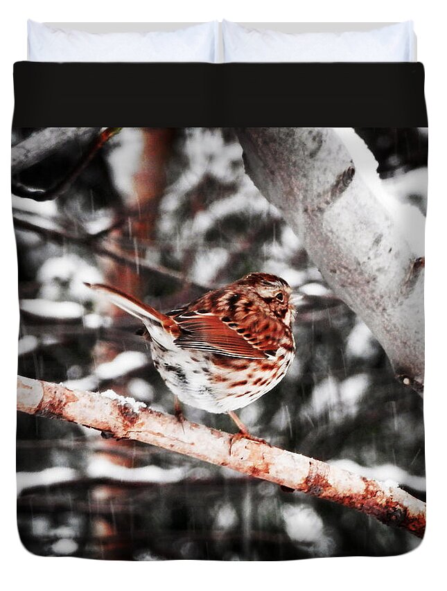 Song Sparrow Duvet Cover featuring the photograph Singing In The Snowfall by Zinvolle Art