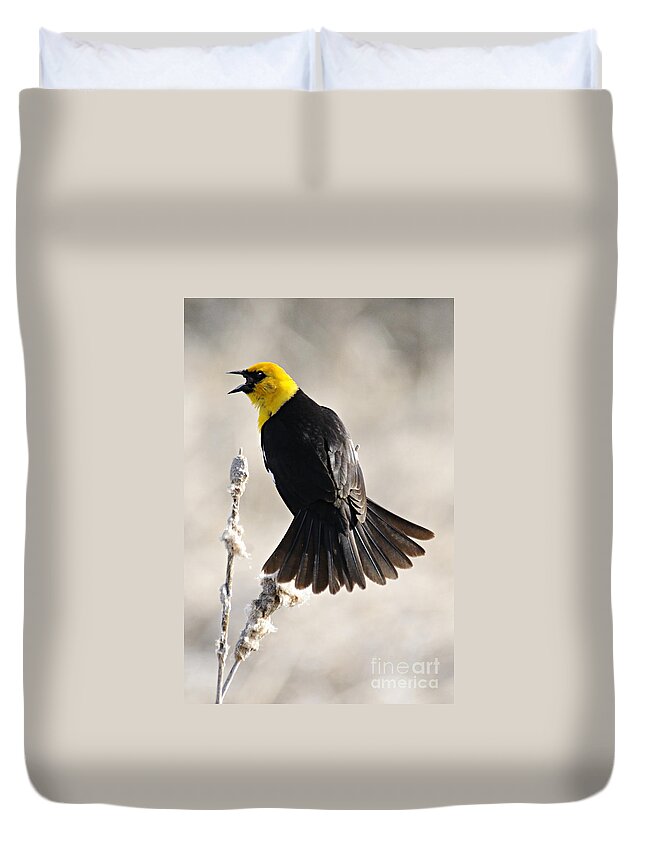 Photography Duvet Cover featuring the photograph Singing Yellow Headed Blackbird by Larry Ricker