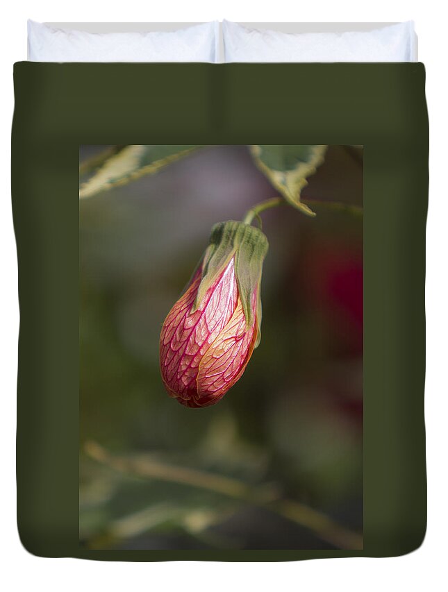 Bud Duvet Cover featuring the photograph Single Bud by Maj Seda