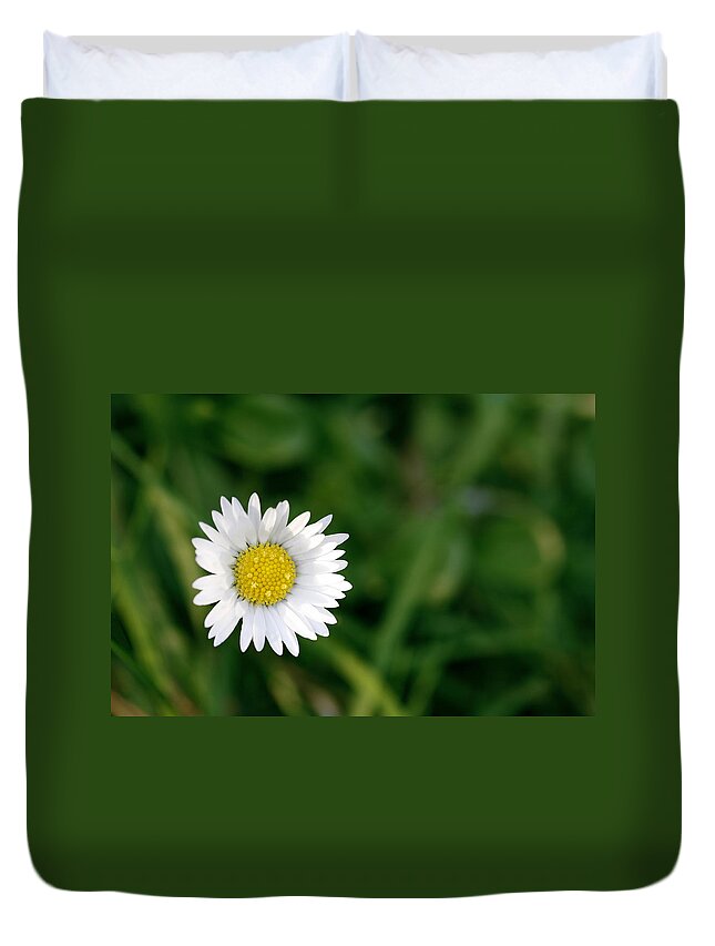 Background Duvet Cover featuring the photograph Single daisy with a green background by Steve Ball