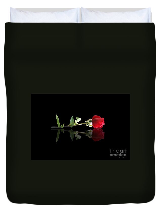 Rose Duvet Cover featuring the photograph Single Rose by Stephanie Laird