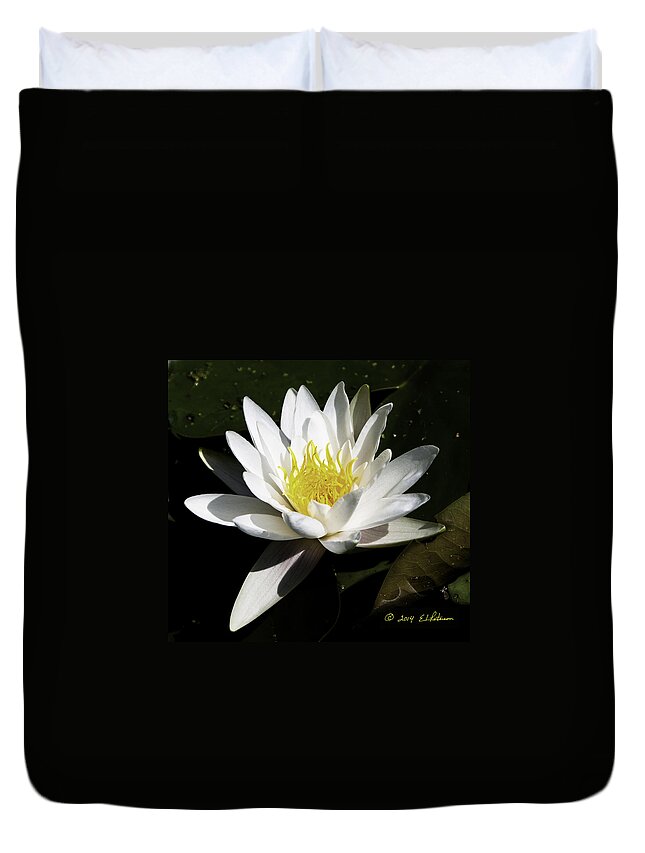 Heron Heaven Duvet Cover featuring the photograph Single Water Lily by Ed Peterson