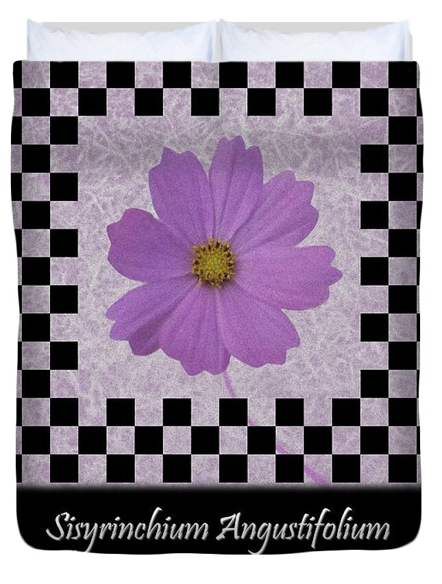 Checkerboard Duvet Cover featuring the digital art Sisyrinchium wild flower BC poster 1 by Barbara St Jean