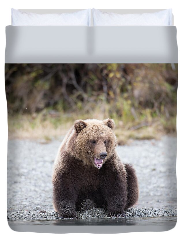 Bear Duvet Cover featuring the photograph Sleep Bear by Kevin Dietrich