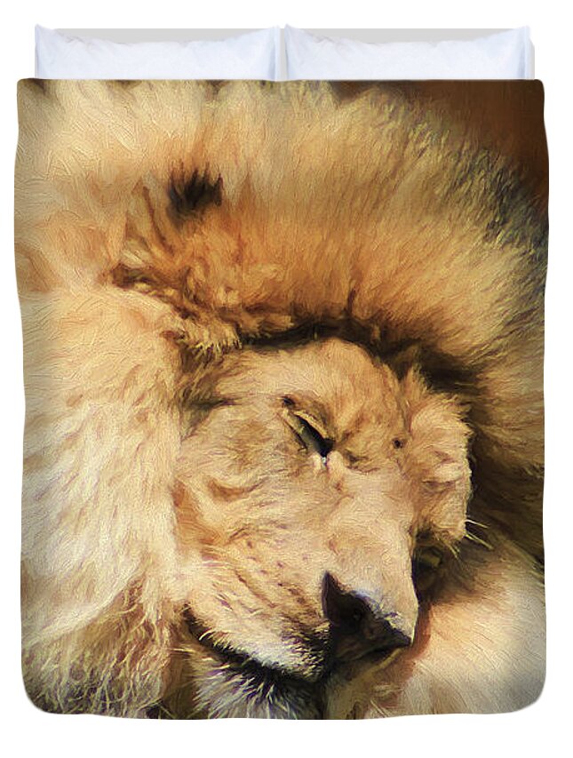 Sleeping Duvet Cover featuring the photograph Sleeping Beast by Darren Fisher
