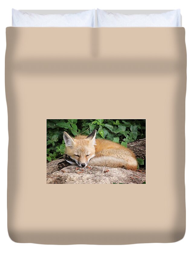Young Duvet Cover featuring the photograph Sleeping Young Fox by Stacy Abbott