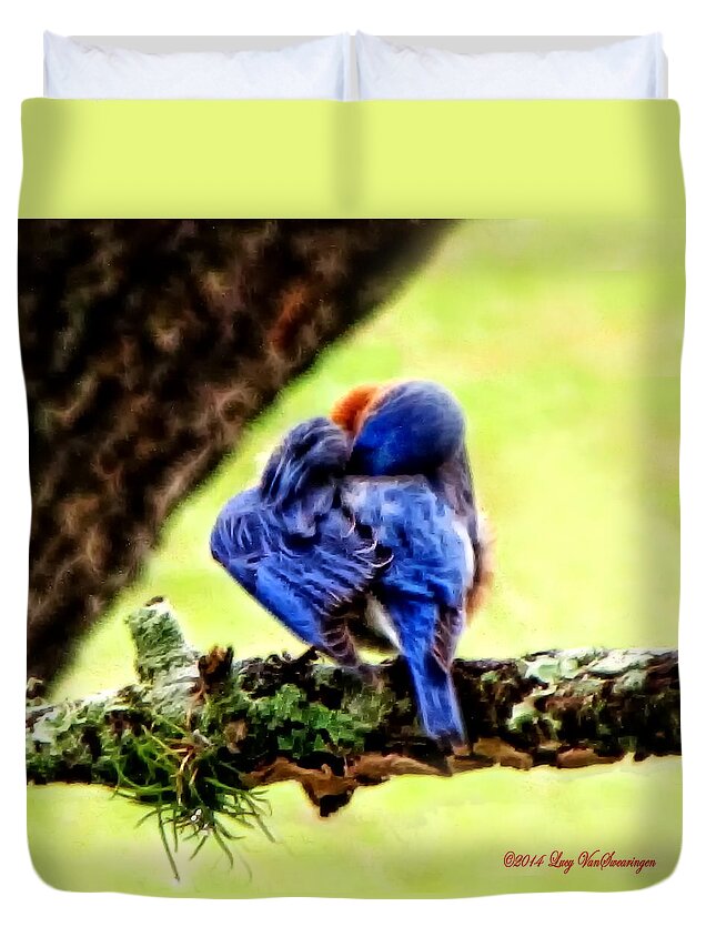 Bluebird Duvet Cover featuring the photograph Sleepy Bluebird by Lucy VanSwearingen