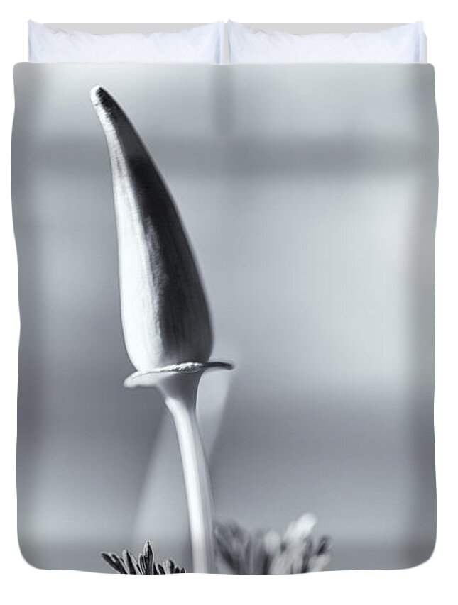 California Poppy Duvet Cover featuring the photograph Slender by Caitlyn Grasso