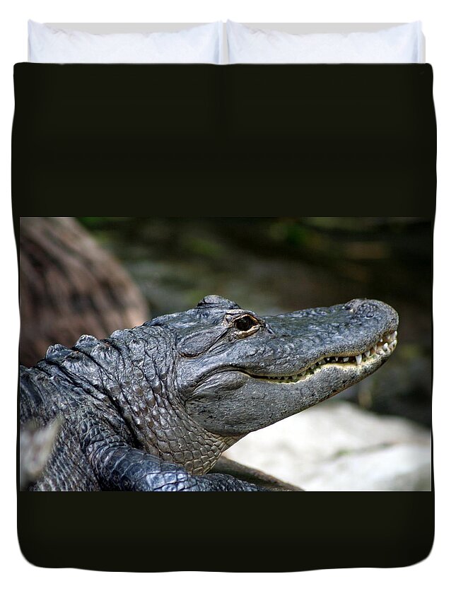 Alligator Duvet Cover featuring the photograph Smiling Alligator by Valerie Collins