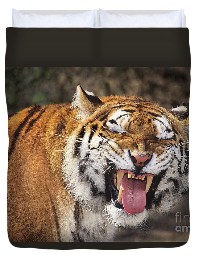 Siberian Tiger Duvet Cover featuring the photograph Smiling Tiger Endangered Species Wildlife Rescue by Dave Welling