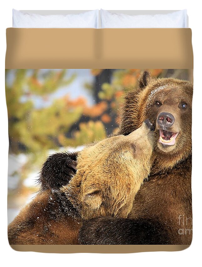 Grizzly Bear Duvet Cover featuring the photograph Smooch by Adam Jewell