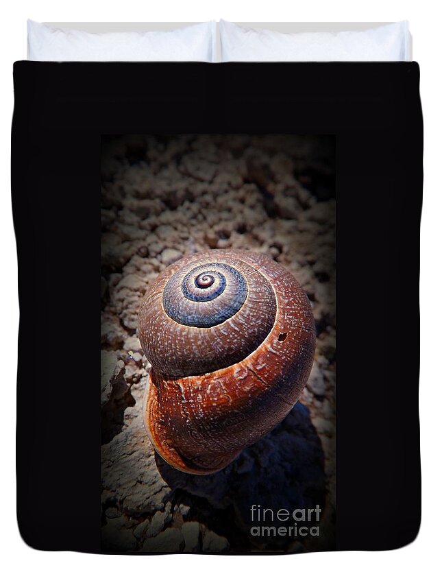 Snail Duvet Cover featuring the photograph Snail Beauty by Clare Bevan